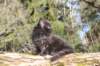 chanochns65weeks852026119_small.jpg