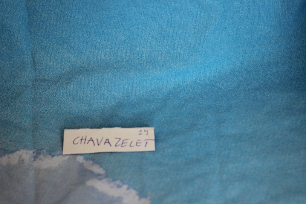 chavazelet4vi22420261.jpg