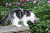 chaviva13viikkoa216202637_small.jpg