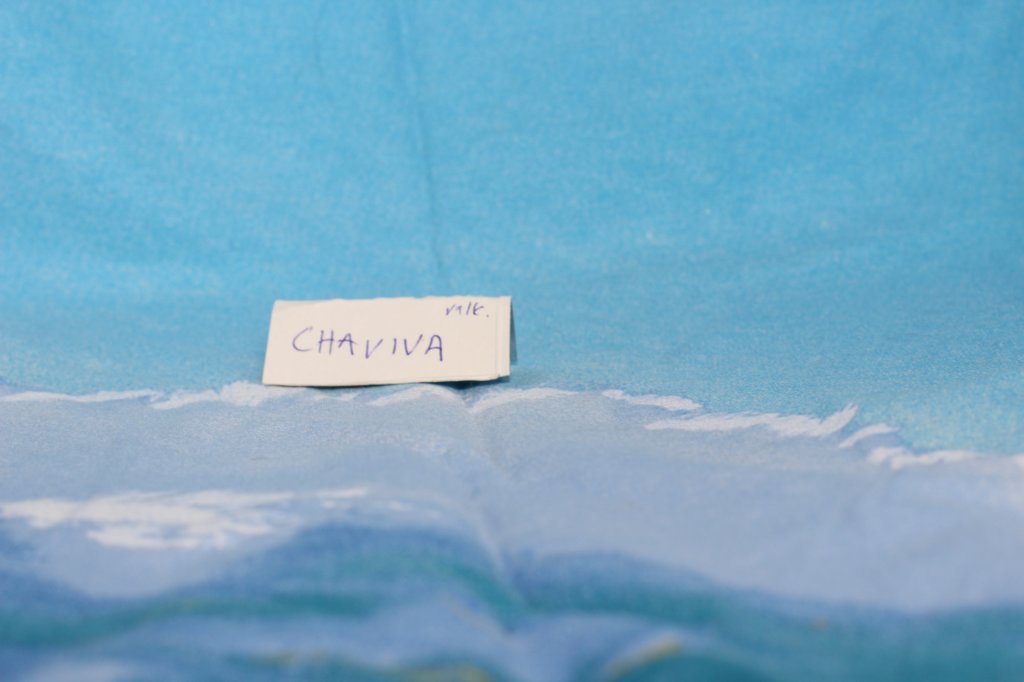 chaviva4vi22420261.jpg