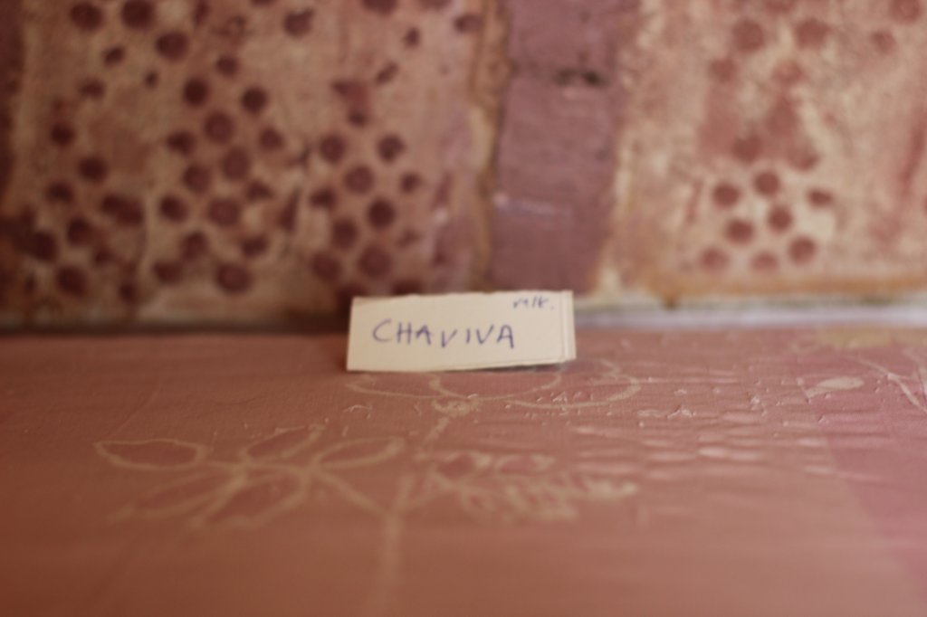chaviva4vi224202624.jpg