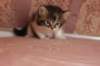 chaviva4vi224202648_small.jpg
