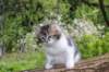 chaviva95weeks295202686_small.jpg