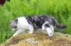 chulda105viikkoa56202610_small.jpg