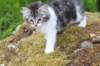 chulda105viikkoa56202615_small.jpg