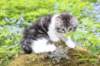 chulda105viikkoa56202618_small.jpg