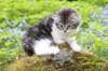 chulda105viikkoa56202619_small.jpg