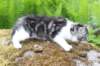 chulda105viikkoa5620262_small.jpg