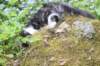 chulda105viikkoa56202651_small.jpg