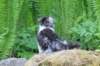 chulda105viikkoa56202660_small.jpg