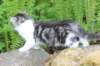 chulda105viikkoa56202666_small.jpg