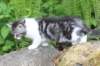 chulda105viikkoa56202669_small.jpg