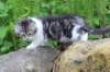 chulda105viikkoa56202670_small.jpg