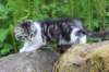 chulda105viikkoa56202671_small.jpg