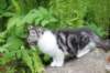 chulda105viikkoa56202678_small.jpg