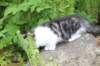 chulda105viikkoa56202679_small.jpg