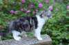 chulda13viikkoa216202616_small.jpg