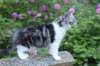 chulda13viikkoa216202618_small.jpg