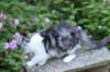 chulda13viikkoa21620269_small.jpg