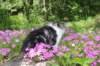 chulda95weeks295202623_small.jpg