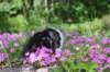 chulda95weeks295202624_small.jpg