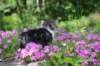 chulda95weeks295202628_small.jpg