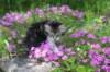 chulda95weeks295202631_small.jpg