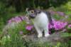 chulda95weeks2952026ilta23_small.jpg
