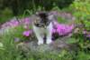 chulda95weeks2952026ilta28_small.jpg