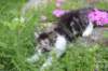 chulda95weeks2952026ilta29_small.jpg