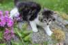 chulda95weeks2952026ilta37_small.jpg
