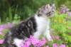 chulda95weeks2952026ilta43_small.jpg