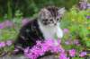 chulda95weeks2952026ilta48_small.jpg