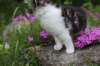 chulda95weeks2952026ilta53_small.jpg