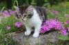 chulda95weeks2952026ilta58_small.jpg