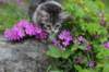 chulda95weeks2952026ilta64_small.jpg