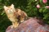 img_8680_small.jpg