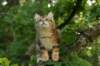 img_8825_small.jpg