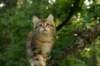 img_8830_small.jpg