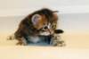 img_7014_small.jpg