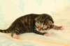 img_5834_small.jpg