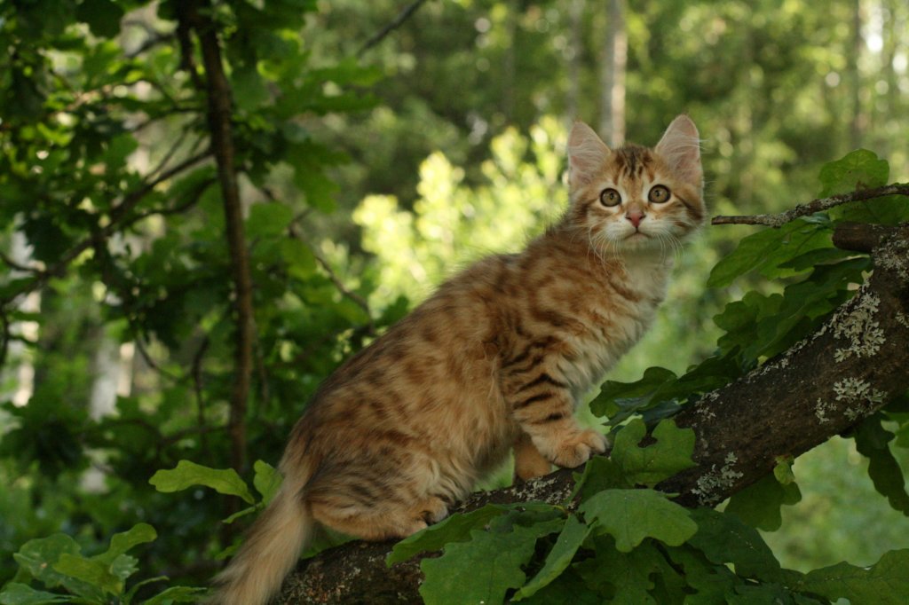 crispusimg_8835.jpg