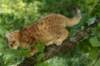 img_8875_small.jpg
