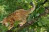 img_8876_small.jpg