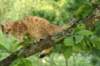 img_8878_small.jpg