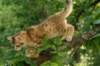 img_8882_small.jpg