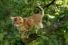 img_8886_small.jpg