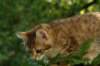img_8887_small.jpg