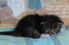 casiphiatyttn09232425_small.jpg