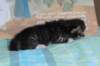 casiphiatyttn09232429_small.jpg
